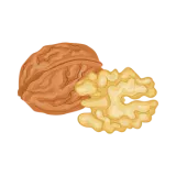 Cashews & Walnuts